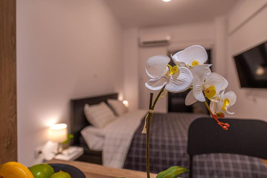 Athens Downtown Cozy Luxury Nest Lägenhet Exteriör bild